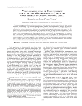 Vessel-Bearing Stems of Vasovinea Tianii Gen. Et Sp