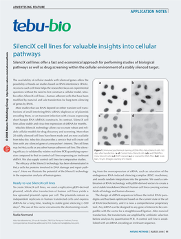 Silencix Cell Lines for Valuable Insights Into Cellular Pathways