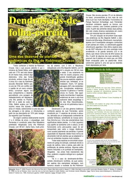 Dendroseris-De- Folha-Estreita