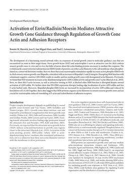 Activation of Ezrin/Radixin/Moesin Mediates Attractive Growth Cone Guidance Through Regulation of Growth Cone Actin and Adhesion Receptors