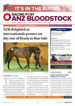 NZB Delighted As Internationals Pounce on Day One of Ready to Run Sale | 2 | Thursday, November 19, 2020