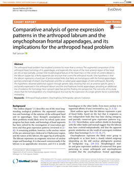 Comparative Analysis of Gene Expression Patterns in The