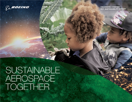 Boeing Releases First Sustainability Report Download File