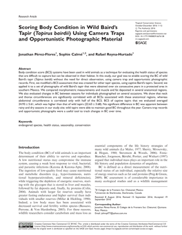 Scoring Body Condition in Wild Baird's Tapir (Tapirus Bairdii)