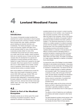 Lowland Woodland Fauna