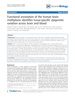 Functional Annotation of the Human Brain Methylome Identifies Tissue