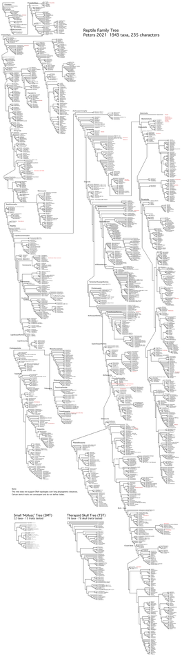 Reptile Family Tree Peters 2021 1909 Taxa, 235 Characters