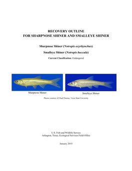 Recovery Outline for Sharpnose Shiner and Smalleye Shiner