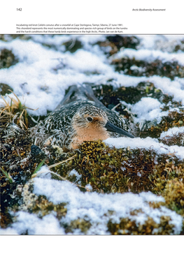 Arctic Biodiversity Assessment