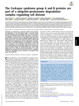 The Cockayne Syndrome Group a and B Proteins Are Part of a Ubiquitin–Proteasome Degradation Complex Regulating Cell Division