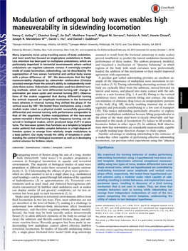 Modulation of Orthogonal Body Waves Enables High Maneuverability in Sidewinding Locomotion