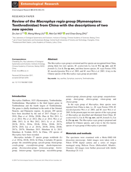 Review of the Macrophya Regia Group (Hymenoptera: Tenthredinidae