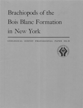 Brachiopods of the Bois Blanc Formation in New York