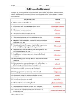 Cell Organelles Worksheet