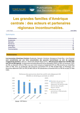 Les Grandes Familles D'amérique Centrale : Des Acteurs Et Partenaires