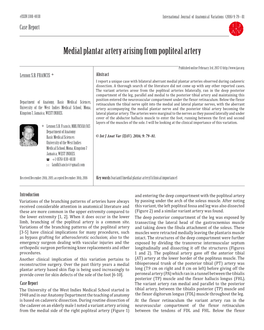 Medial Plantar Artery Arising from Popliteal Artery