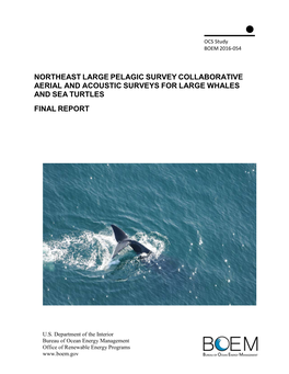 Northeast Large Pelagic Survey Collaborative Aerial and Acoustic Surveys for Large Whales and Sea Turtles Final Report