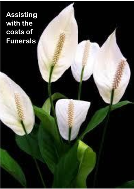 Assisting with the Costs of Funerals Department for Work and Pensions (DWP) Social Fund Funeral Expenses Payment