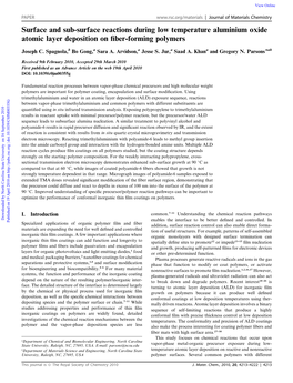 Surface and Sub-Surface Reactions During Low Temperature Aluminium Oxide Atomic Layer Deposition on ﬁber-Forming Polymers