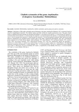 Cladistic Systematics of the Genus Amphimallon