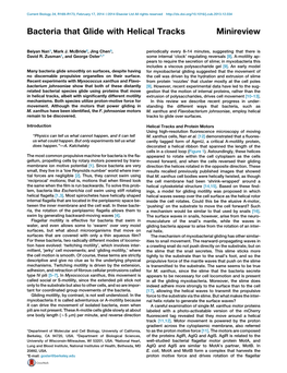 Bacteria That Glide with Helical Tracks Minireview