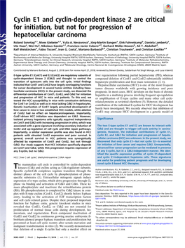 Cyclin E1 and Cyclin-Dependent Kinase 2 Are Critical for Initiation, but Not for Progression of Hepatocellular Carcinoma