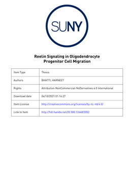 Reelin Signaling in Oligodendrocyte Progenitor Cell Migration