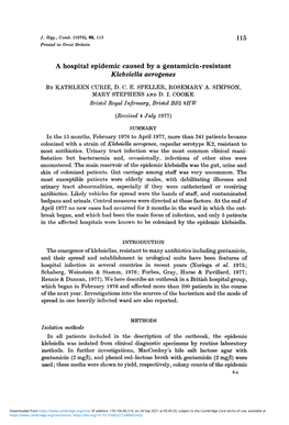 A Hospital Epidemic Caused by a Gentamicin-Resistant Klebsiella