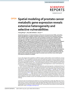 Spatial Modeling of Prostate Cancer Metabolic Gene Expression Reveals Extensive Heterogeneity and Selective Vulnerabilities Yuliang Wang1,2*, Shuyi Ma3 & Walter L