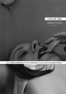 Lata De Zinc