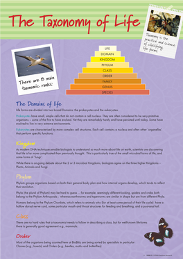 The Taxonomy of Life Taxonomy Is the Practice and Science of Classifying LIFE Life Forms