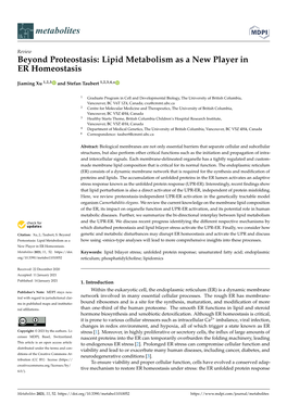 Lipid Metabolism As a New Player in ER Homeostasis