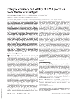 Catalytic Efficiency and Vitality of HIV-1 Proteases from African Viral Subtypes