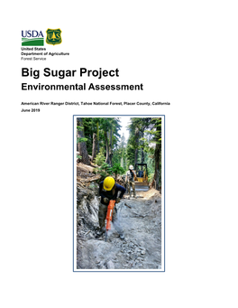 Big Sugar Project Environmental Assessment