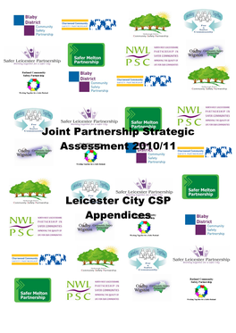 Joint Partnership Strategic Assessment 2010/11 Leicester City CSP Appendices