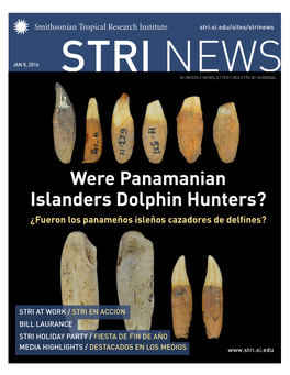 Were Panamanian Islanders Dolphin Hunters? ¿Fueron Los Panameños Isleños Cazadores De Delfines?