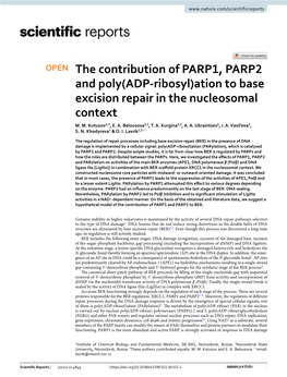 The Contribution of PARP1, PARP2 and Poly(ADP-Ribosyl)