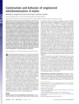 Construction and Behavior of Engineered Minichromosomes in Maize