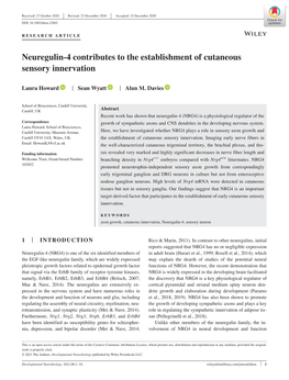 Neuregulin‐4 Contributes to the Establishment of Cutaneous Sensory