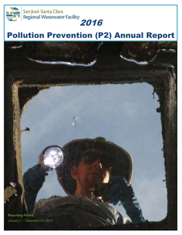 Pollution Prevention (P2) Annual Report