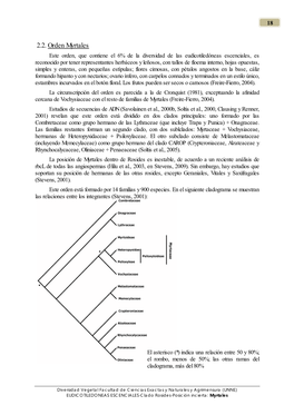 2.2. Orden Myrtales