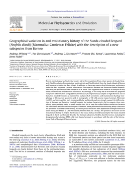 Neofelis Diardi) (Mammalia: Carnivora: Felidae) with the Description of a New Subspecies from Borneo ⇑ Andreas Wilting A, ,1, Per Christiansen B,1, Andrew C