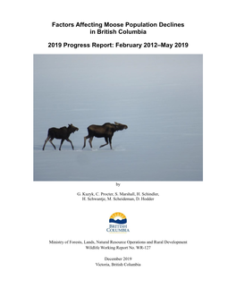 2019 Moose Progress Research Report