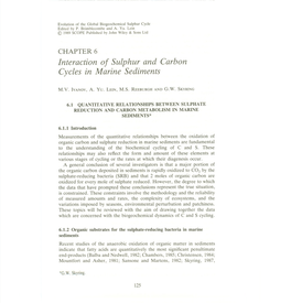 Interaction of Sulphur and Carbon Cycles in Marine Sediments