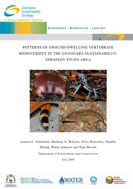 GSS-DEC Patterns of Ground-Dwelling Vertebrate