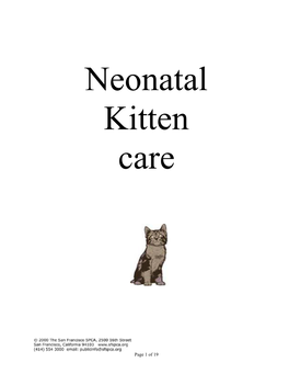 Neonatal Kitten Care