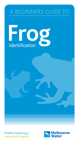 A BEGINNERS GUIDE to Frog Identification Contents