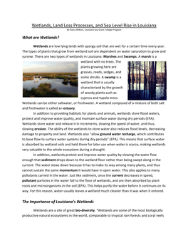 Wetlands, Land Loss Processes, and Sea Level Rise in Louisiana by Darcy Wilkins, Louisiana Sea Grant College Program