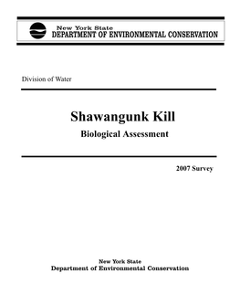 Shawangunk Kill, 2007