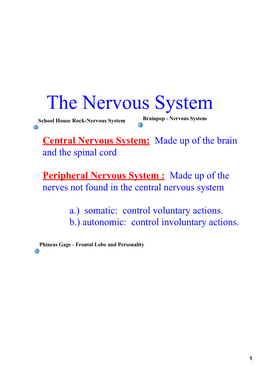 The Nervous System School House Rock­Nervous System Brainpop ­ Nervous System